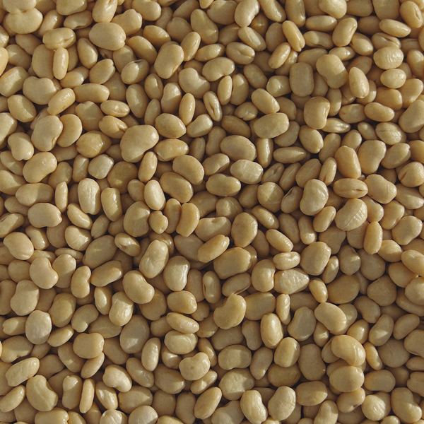 Dried soya beans