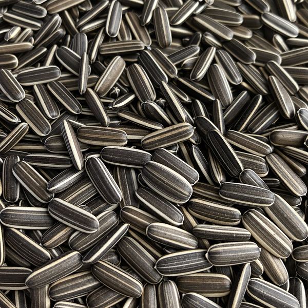 Striped sunflower seeds